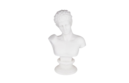 Marble Look Male Bust